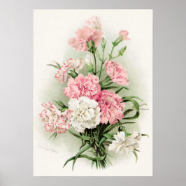 Narrativas de safra bonitas, poster