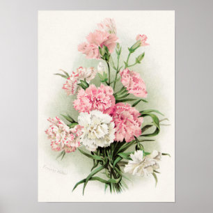 Narrativas de safra bonitas, poster