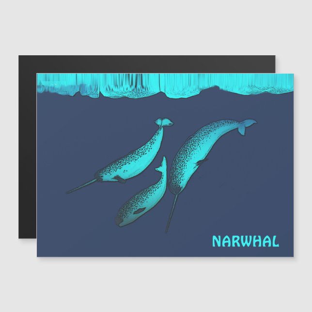 Narwhal Sob O Gelo (Frente/Verso)