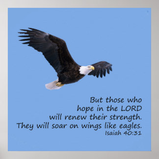 Nas Asas Como Eagles Poster