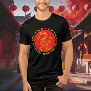Nascer de Ano Novo Chinês no Ano do Cobra