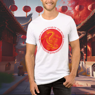 Nascer de Ano Novo Chinês no Ano do Cobra