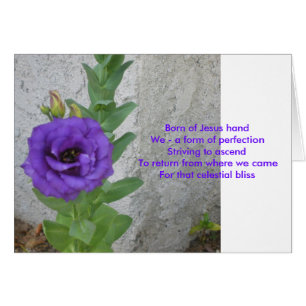 Nascer do cartão de Jesus