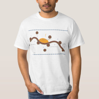 nascer do sol, G.Schertz, camisetas