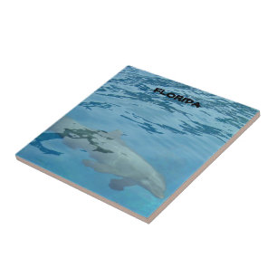 natações de golfinhos cinzas submarinos