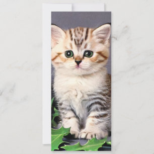 Natais vintages Kitten e Holly Card