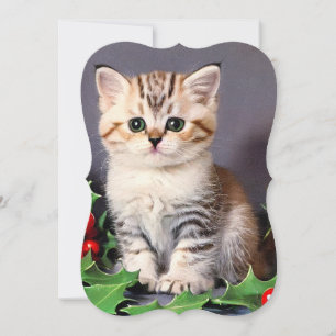 Natais vintages Kitten e Holly Card