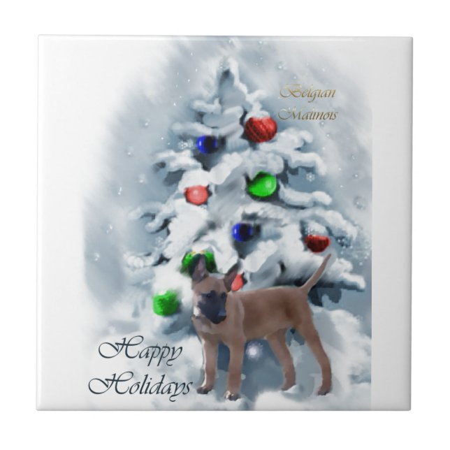 Natal belga Malinois (Frente)