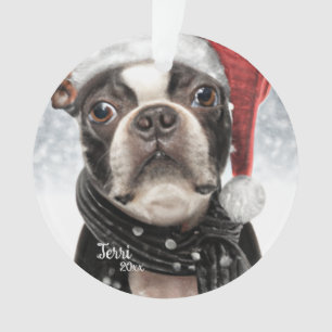 Natal Boston Terrier, Papais noeis - Ornamento de