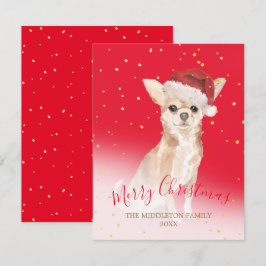 Natal Chihuahua Cachorro Dourado Saudação Sazonal