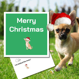 Natal Chihuahua Dog Feliz Verde Saudação