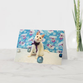 Natal de Audrey - Cartão de Natal de Gato/Gato