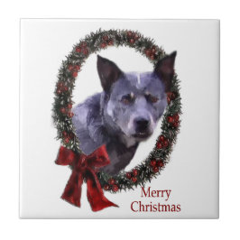 Natal de Cattle na Austrália