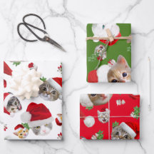 Natal de Gato e Rato