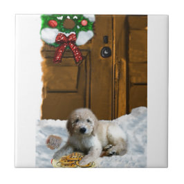 Natal de Goldendoodle