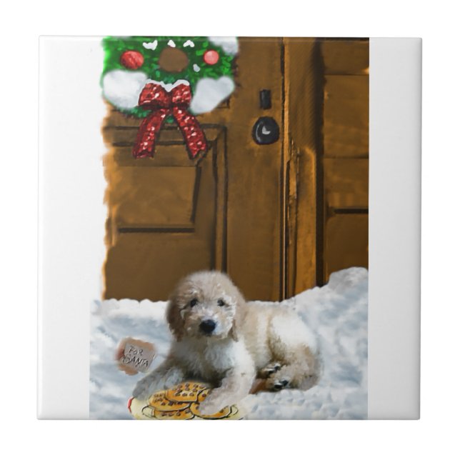 Natal de Goldendoodle (Frente)