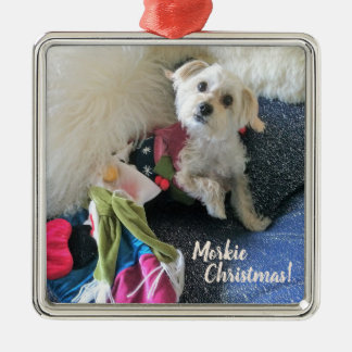 Natal de Morkie que armazena o ornamento superior