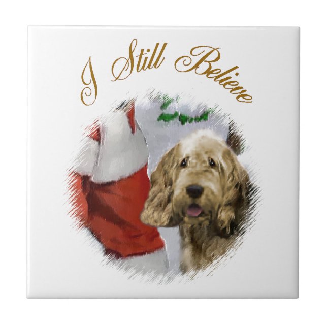 Natal de Otterhound (Frente)