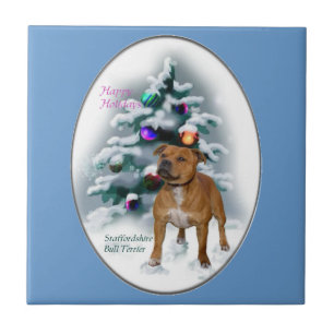 Natal de Staffordshire bull terrier