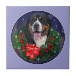 Natal do Cão da Grande Suíça