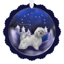 Natal do Havanês