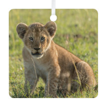 Natal do Nome Personalizar o Cub do Lion