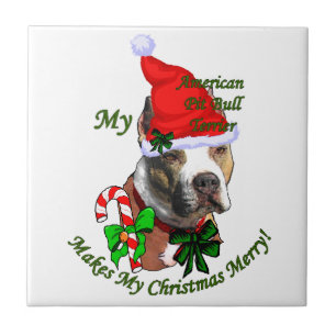 Natal do Pit Bull Terrier americano