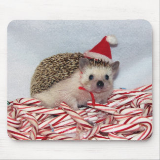 Natal Hedgie Mousepad