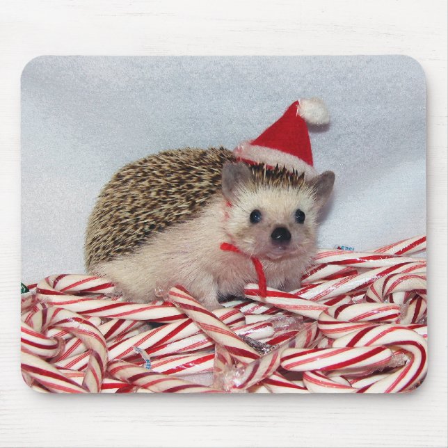 Natal Hedgie Mousepad (Frente)