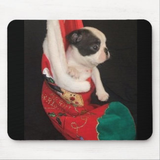 Natal Mousepad do filhote de cachorro de Boston