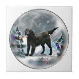 Natal para o Retriever Revestido Plano