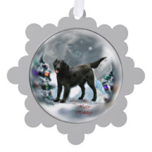 Natal para o Retriever Revestido Plano