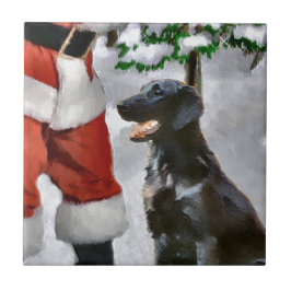 Natal para o Retriever Revestido Plano