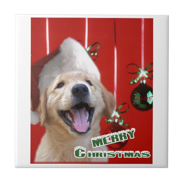 Natal para ouro Retriever (Frente)