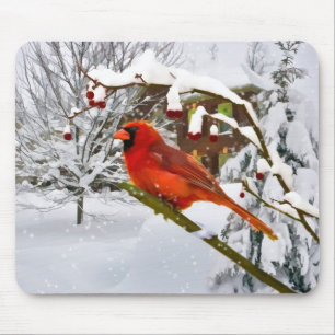 Natal, pássaro cardinal, neve, Mousepad