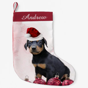 Natal Pequena Meia do filhote de cachorro do Pinscher do