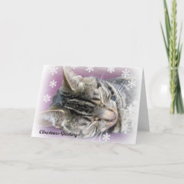 Natal que sonha o cartão