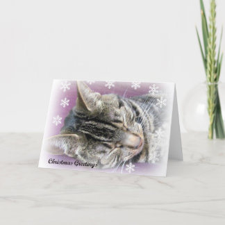 Natal que sonha o cartão