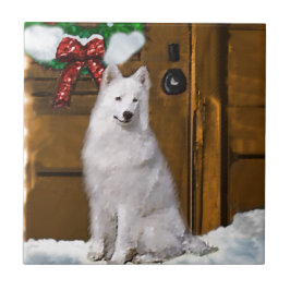 Natal Samoyed