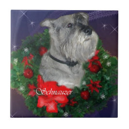 Natal Standard Schnauzer