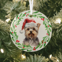 Natal Yorkie Yorkshire Terrier Holidays