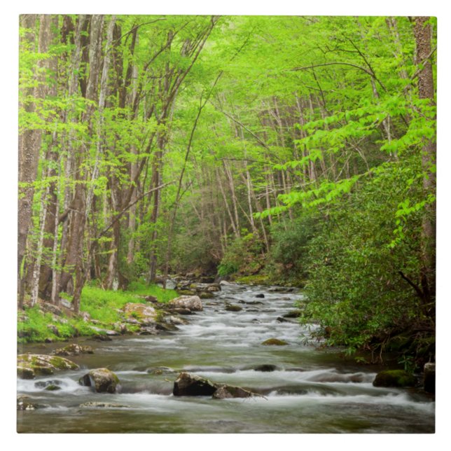 National Park Carolina do Norte, Montanhas do Enfu (Frente)