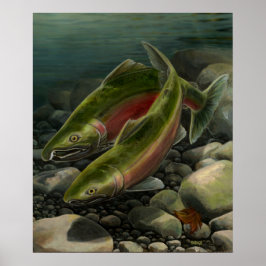 Nature Art Poster Coho Salmão Pesca Art Impressão