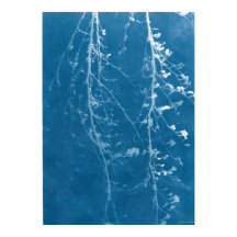 Nature Cyanotipia em Impressão Azul e Download Dig