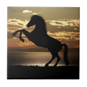 Nature Inspirations Horse Silhouette