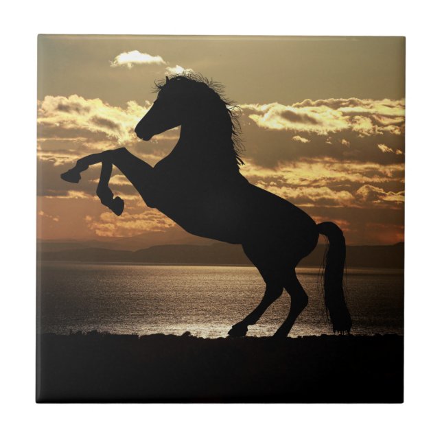 Nature Inspirations Horse Silhouette  (Frente)