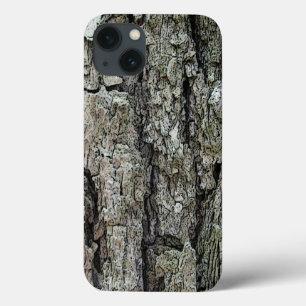 Nature Old Pine Latido