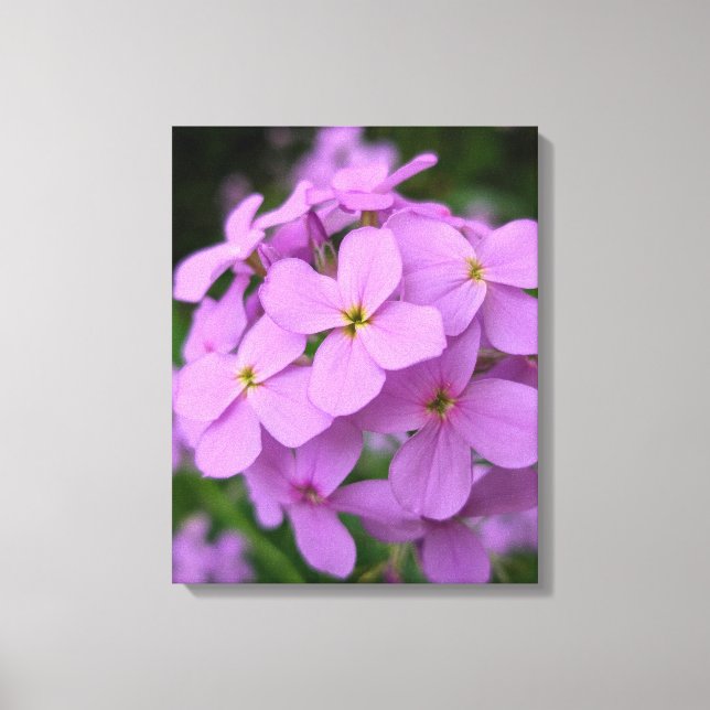 Nature Photography Canvas Print (Frente)