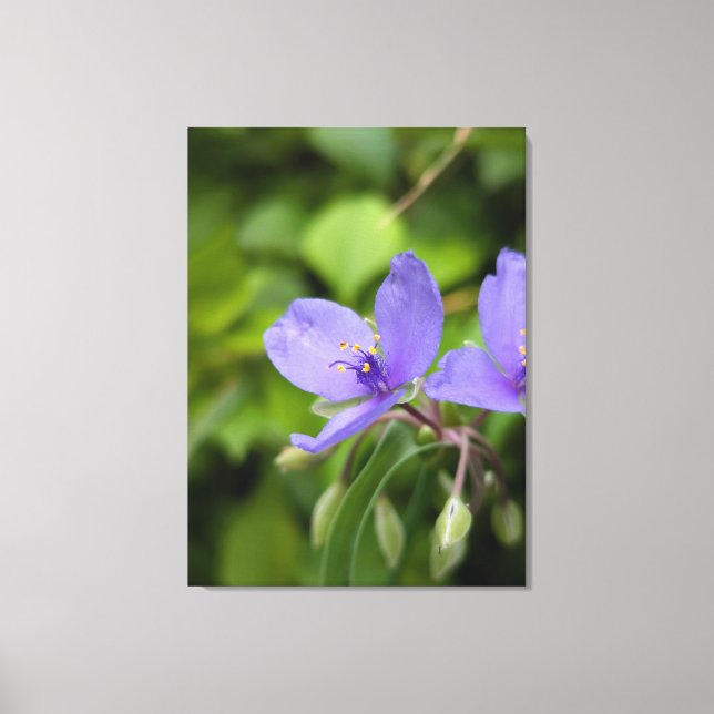 Nature Photography Canvas Print (Frente)