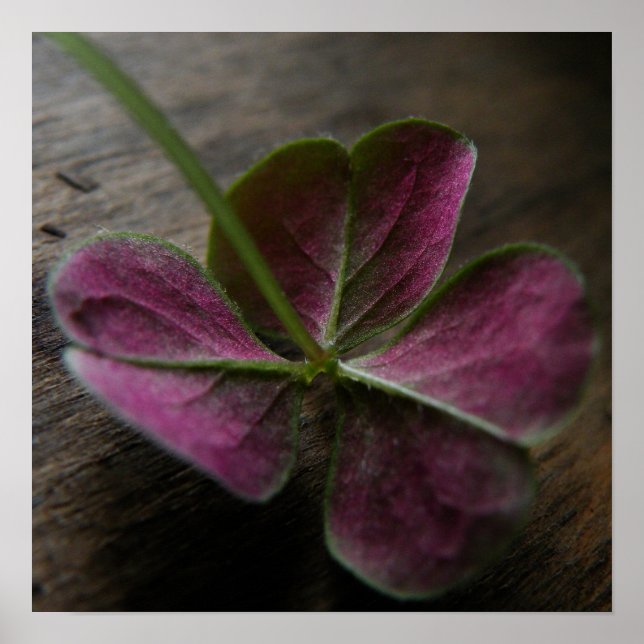 'naturelovesyou' Impressão de tela (Frente)